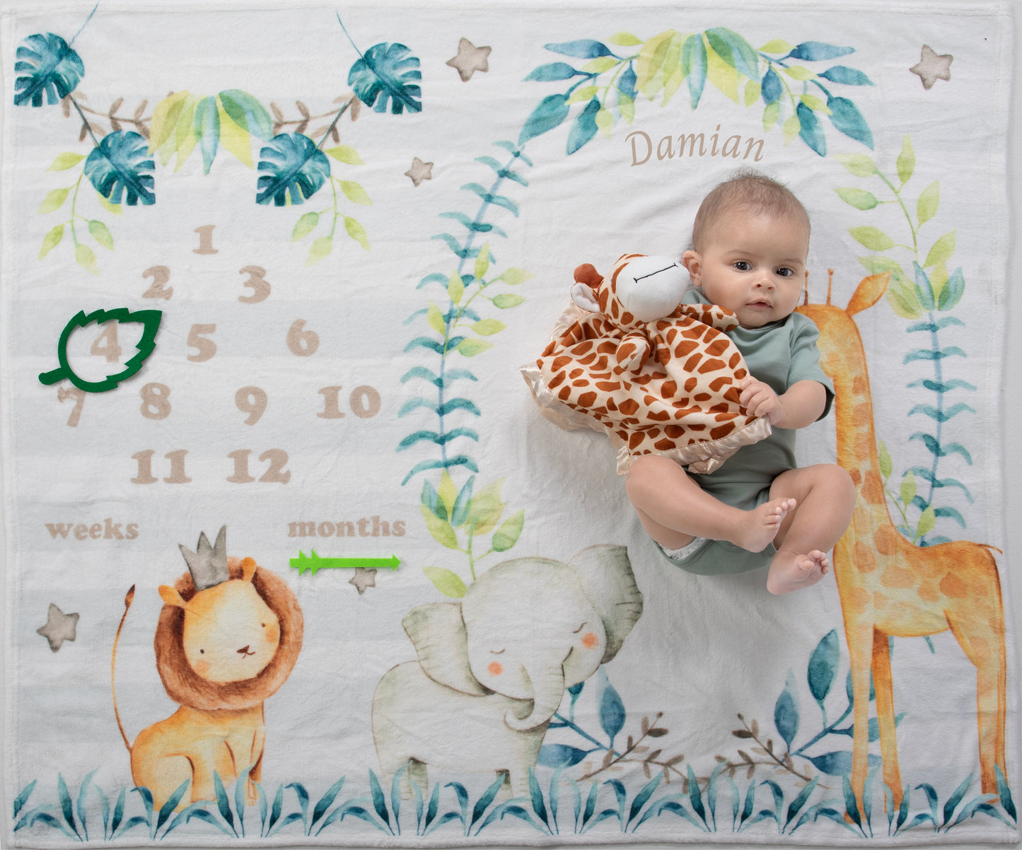 Wildlife Wonders Safari Animals Personalized Milestone Blanket and Markers