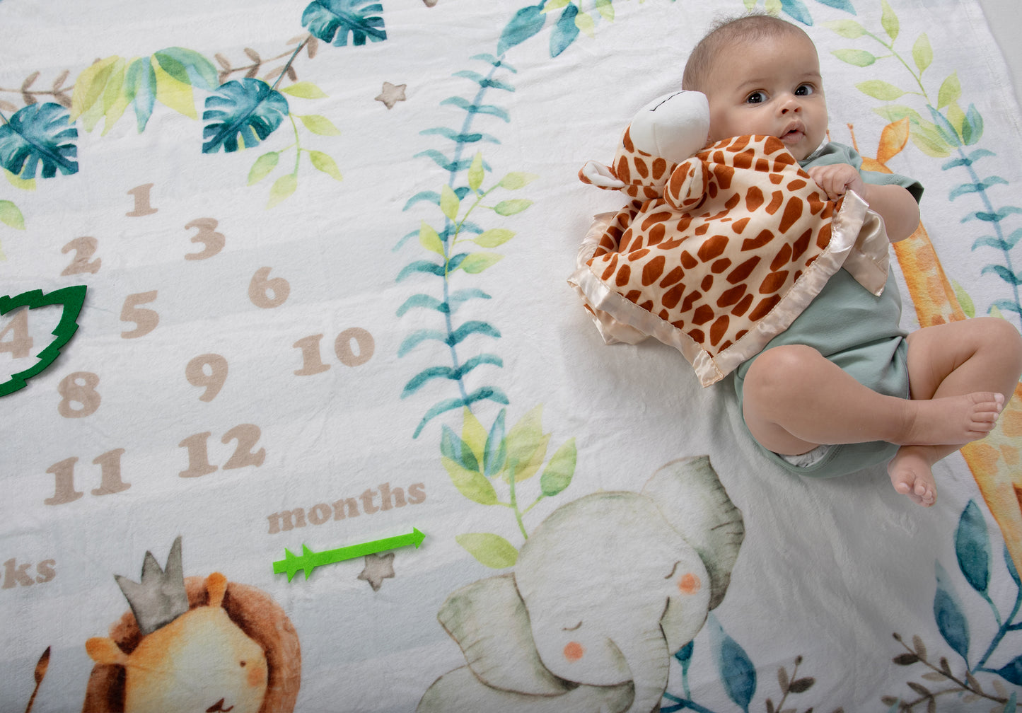 Wildlife Wonders Safari Animals Deluxe Milestone Gift Basket