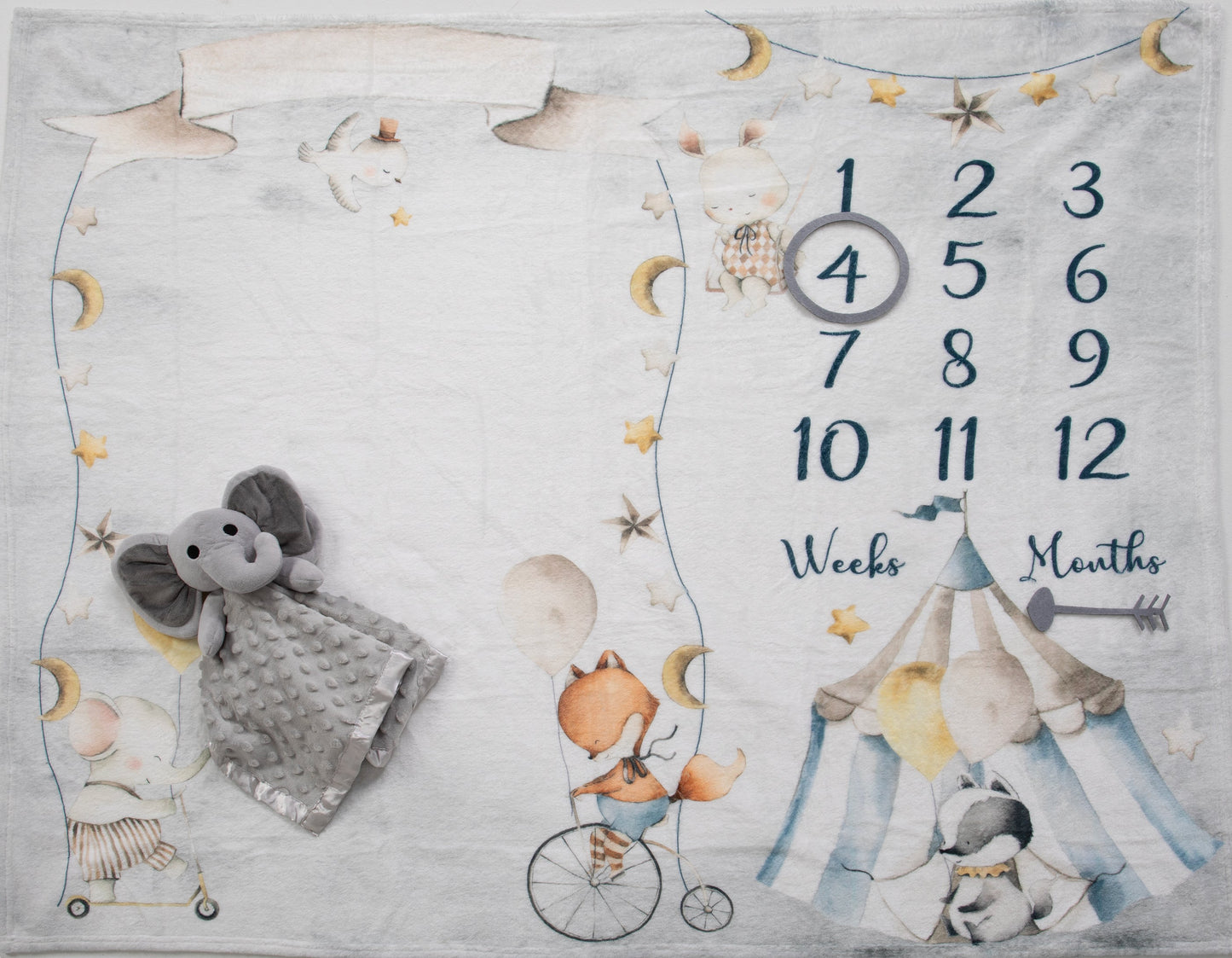 Woodland Friends Enchanted Circus Deluxe Milestone Gift Basket