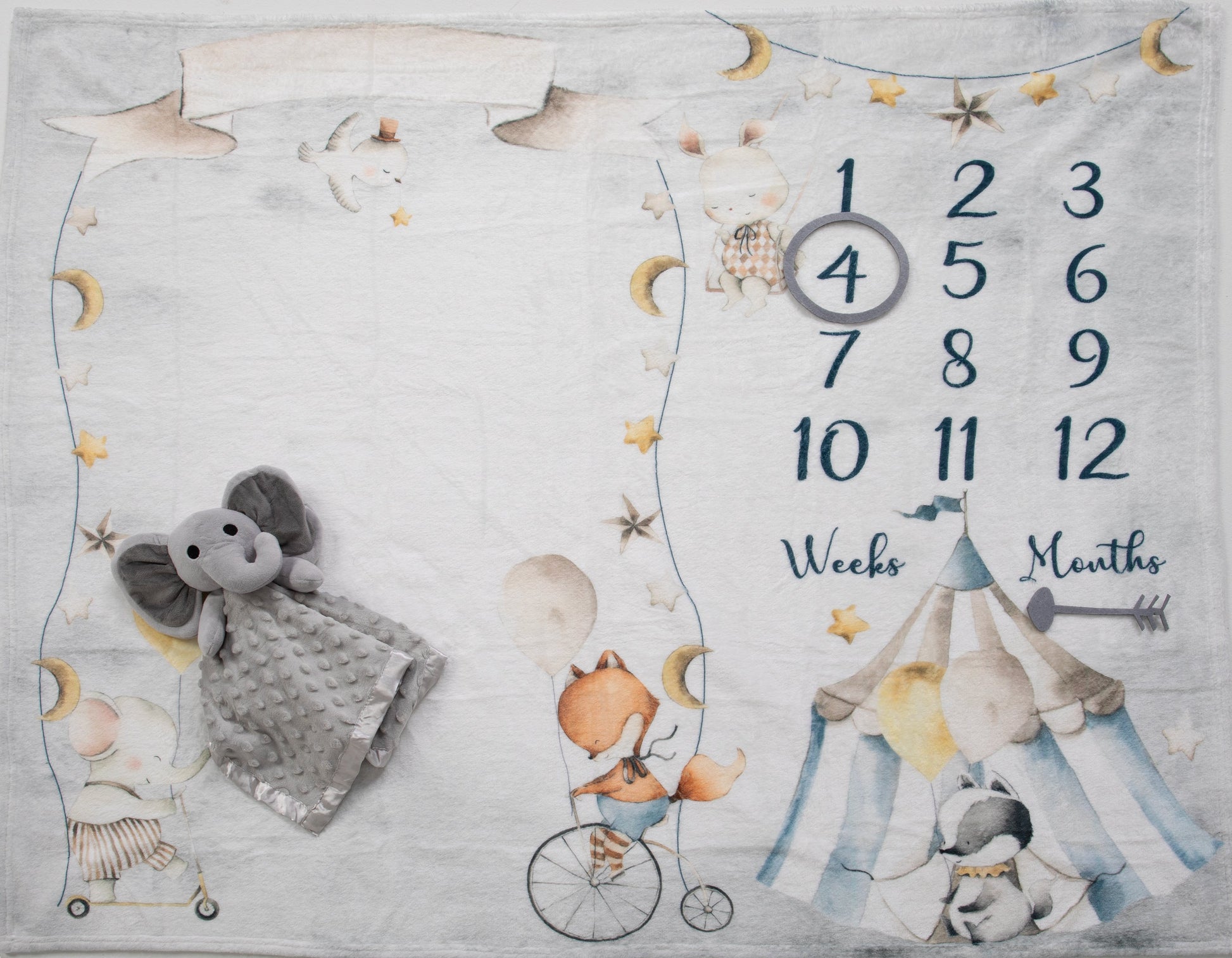 Woodland Friends Enchanted Circus Deluxe Milestone Gift Basket