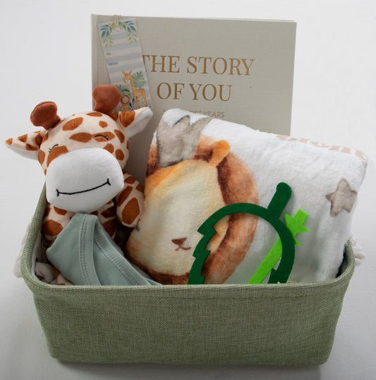 Green Storage Basket