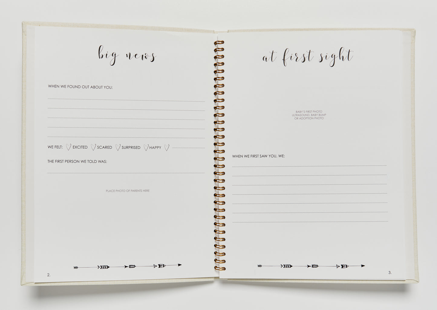 Heavenly Dreams Angel Baby's First Year Baby Book and Bookmark set