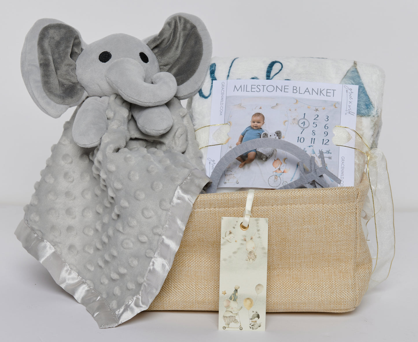 Woodland Friends Enchanted Circus Starter Milestone Gift Basket