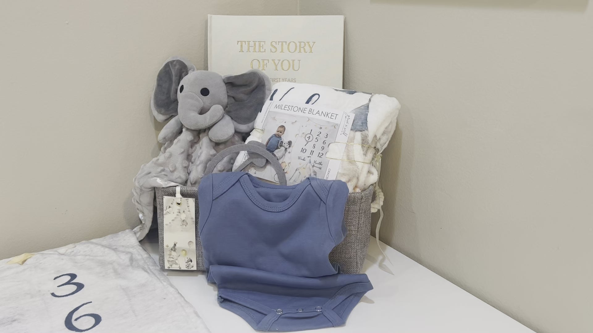 Woodland Friends Enchanted Circus Deluxe Milestone Gift Basket