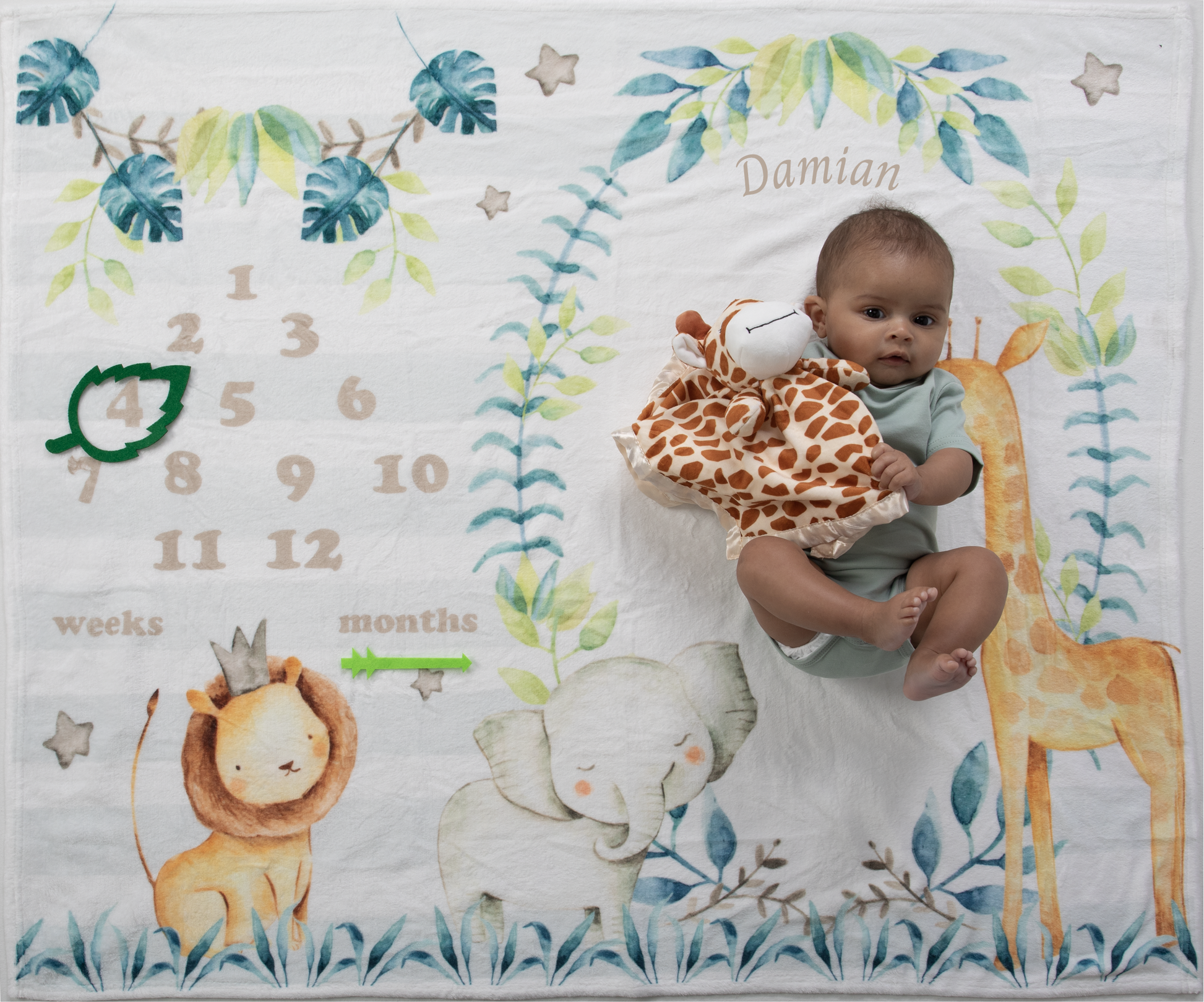 Capture your baby's growth and development with our soft and cozy wild life wonders safari animals milestone blanket. It's perfect for monthly photos to track your little one's growth and create cherished keepsakes.