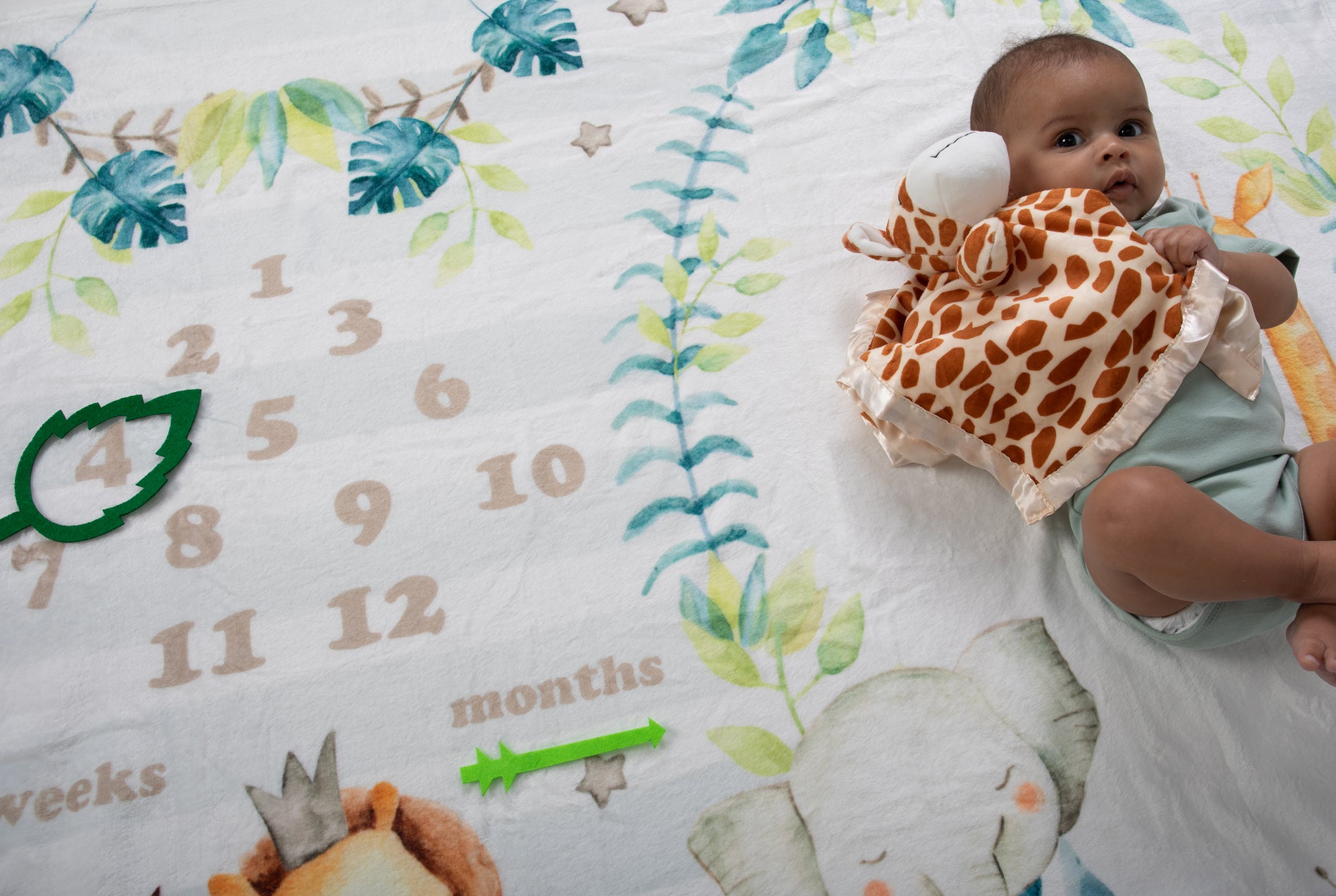 Crafted with high-quality plush fleece material, the Safari Animals Monthly Milestone Blanket is not just for show—it's designed to withstand the wear and tear of monthly photoshoots, providing a durable and beautiful canvas for your baby's growth.