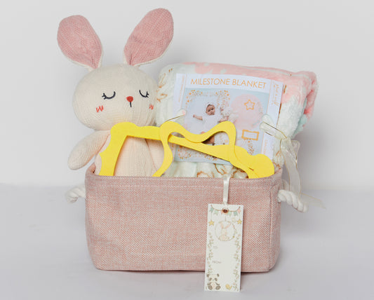 Bunny and Friends Floral Garden Starter Milestone Gift Basket